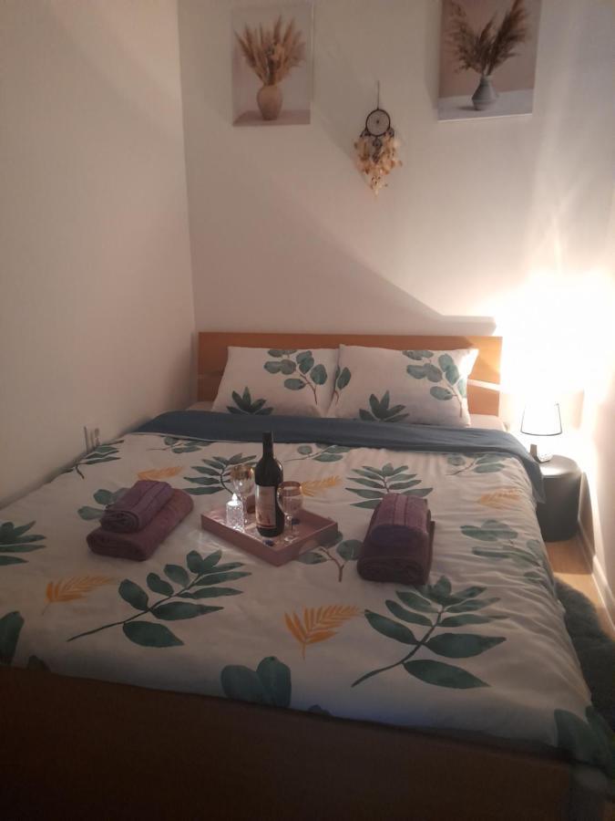 Apartman Lela ヴルシャツ エクステリア 写真